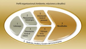 Enfoqeue lógico REDER para la evaluación de los criterios y subcriterios del Modelo de Excelencia en la Gestión de Perú