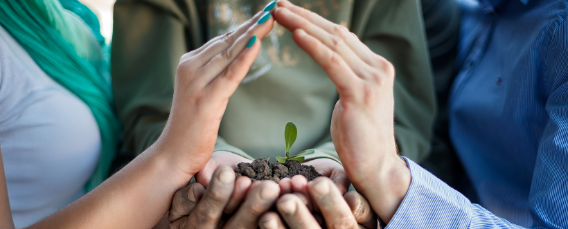 Evaluación Del Desempeño Ambiental Según ISO 14001