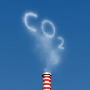 Verified carbon standar