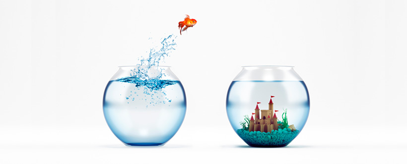 Estrategia empresarial