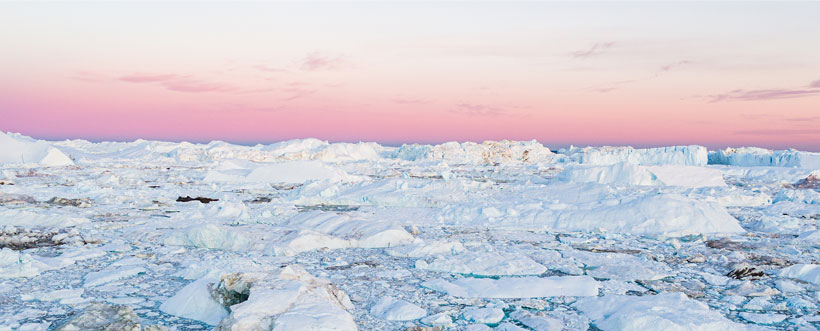 COP25