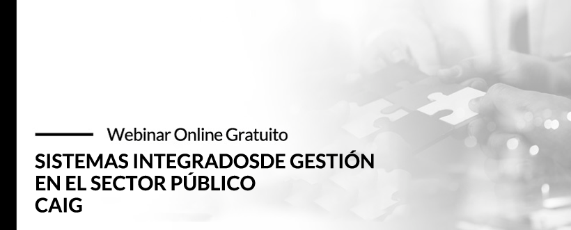 Webinar ISOTools. Modelos De Gestión En El Sector Público.