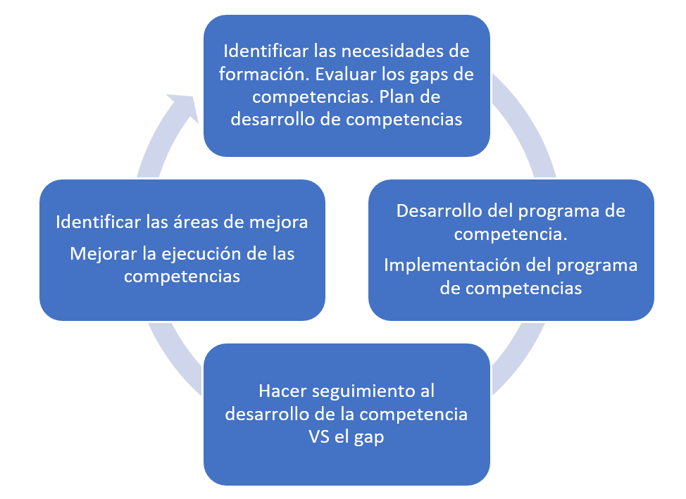 Proceso de formación