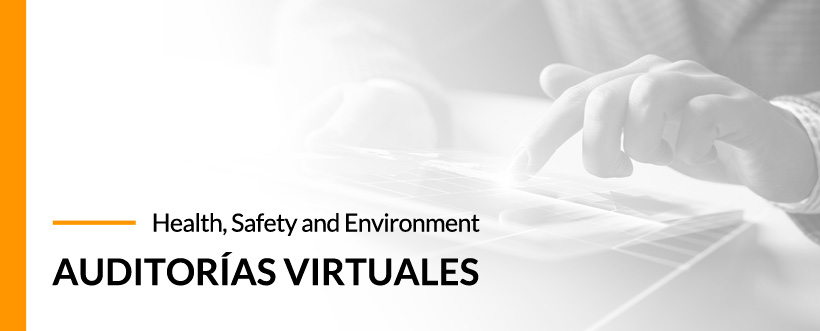 Webinar HSE (Health, Safety and Environment)