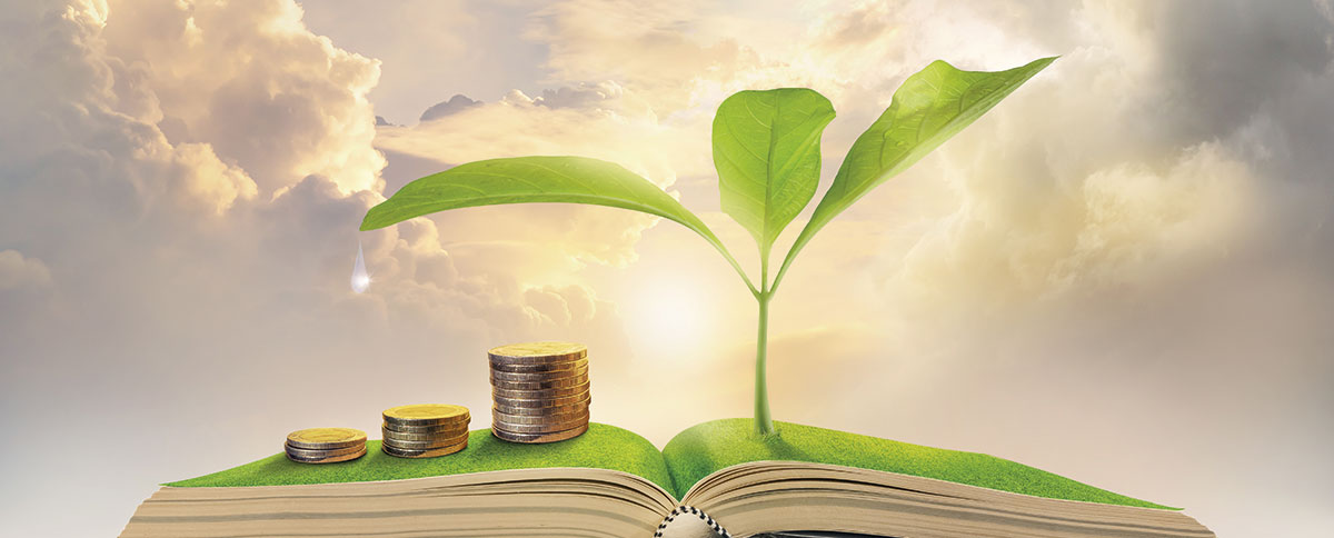 Estrategia de sustentabilidad