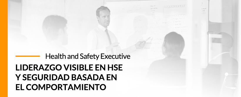 Webinar HSE (Health, Safety and Environment)