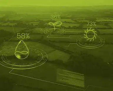 Sector Agricultura