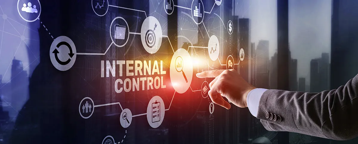 Software auditoría de control interno