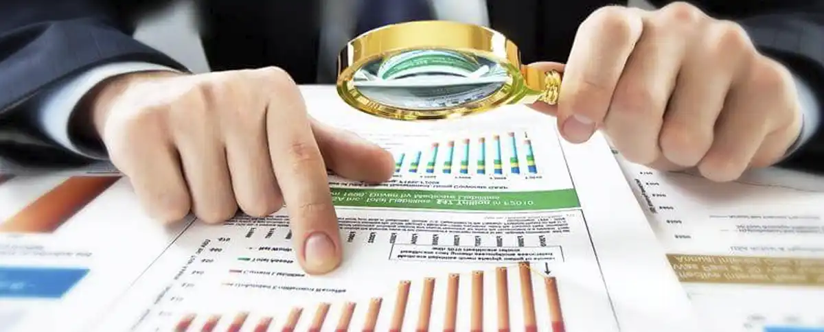 Auditorías De Fraude