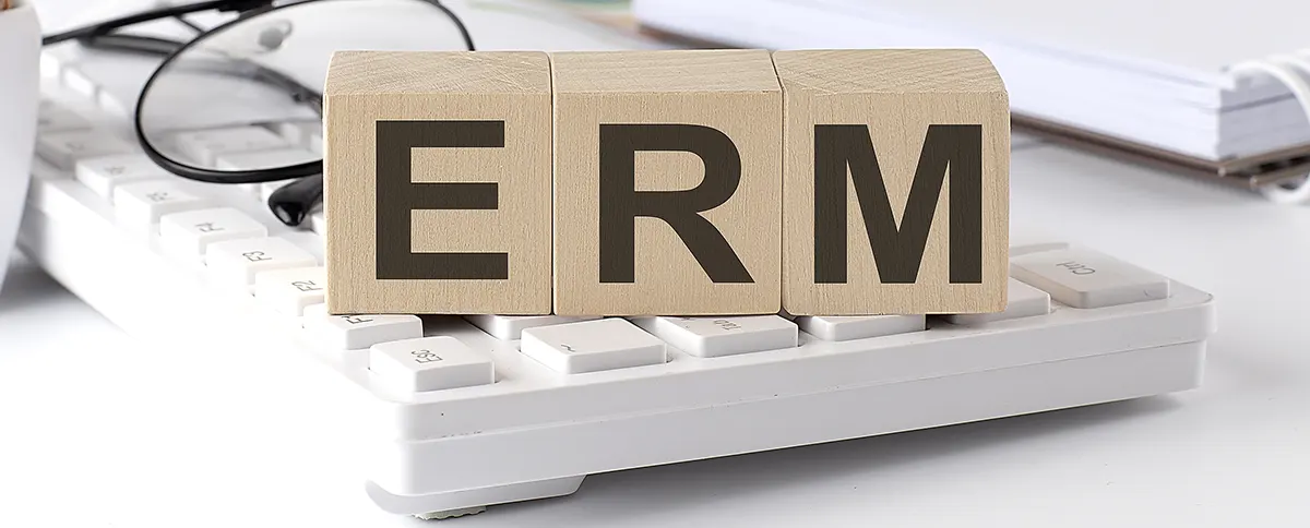 Enterprise Risk Management (ERM). ¿Qué Es Y Cómo Implementarlo En La Organización?