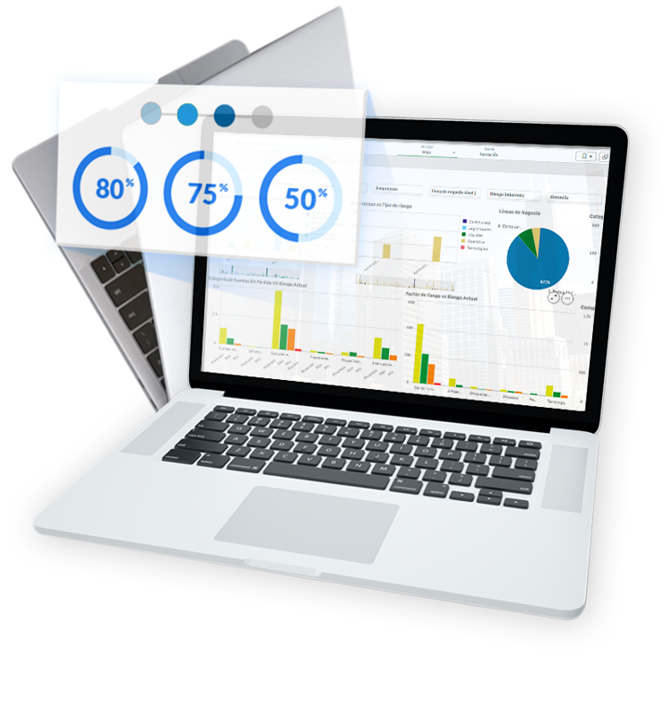 Plataforma ISOTools, Software ISO