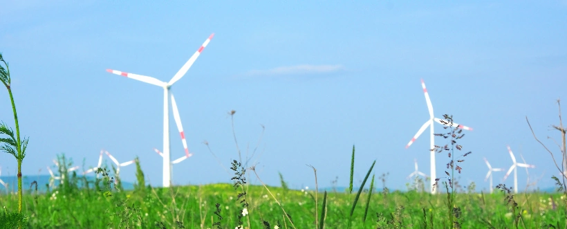 Día Mundial de la Eficiencia Energética