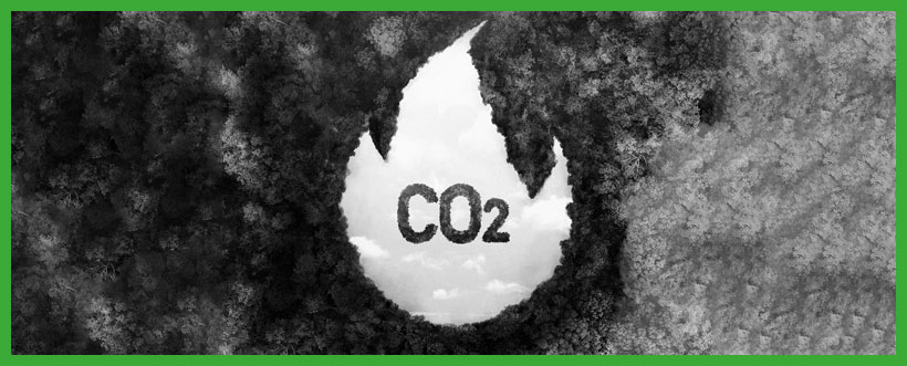 Primeros pasos en el C谩lculo de la Huella de Carbono: gu铆a para organizaciones Primeros pasos en el C谩lculo de la Huella de Carbono: gu铆a para organizaciones