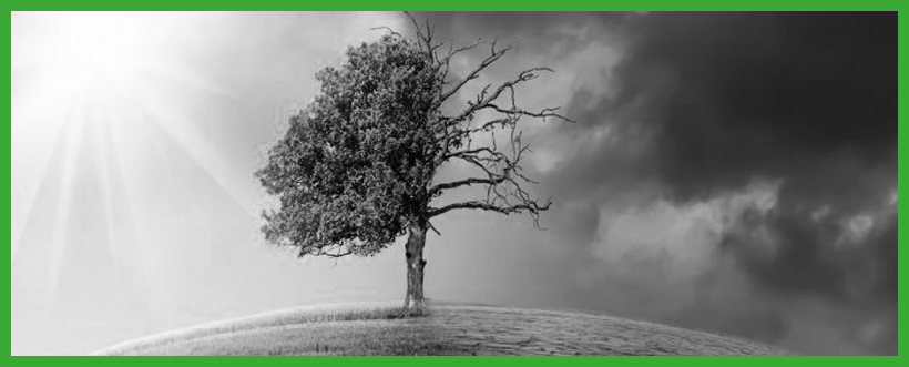 El gran reto del CSO frente al objetivo de neutralidad El gran reto del CSO frente al objetivo de neutralidad